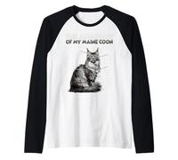 Drôle Maine Coon T | Anatomie du Maine Coon | Maine Coon Manche Raglan