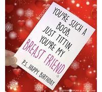 Drôle Meilleur Ami Carte, Joyeux Anniversaire Cartes, You Are Mon Sein Friend, Drôle Carte pour Friend, Blague Carte, Humour Carte, Anniversaire Drôle PC223