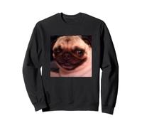 Drôle Mignon Chien Carlin Effrayant Sourire Flou Meme Sweatshirt