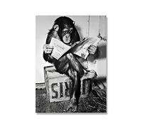 DrôLe Singe Entreprise Affiche Et Impression sur Le Mur Lecture Journal Peinture Salle De Bain Toilettes DéCor Noir Blanc Art Photo-30x40cm sans Cadre