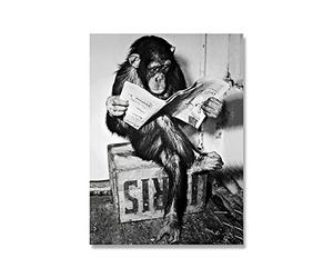 DrôLe Singe Entreprise Affiche Et Impression sur Le Mur Lecture Journal Peinture Salle De Bain Toilettes DéCor Noir Blanc Art Photo-30x40cm sans Cadre