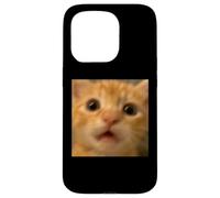 Drôle Surprise Chat Orange Chaton Flou Photo Meme Coque pour iPhone 15 Pro