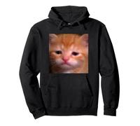 Drôle Triste Orange Chat Chaton Flou Meme Photo Sweat à Capuche