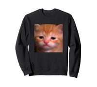 Drôle Triste Orange Chat Chaton Flou Meme Photo Sweatshirt
