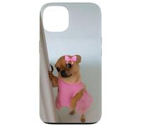 Drôle Visage Chien Meme Mignon Juger Expression Chihuahua Humour Coque pour iPhone 13
