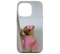 Drôle Visage Chien Meme Mignon Juger Expression Chihuahua Humour Coque pour iPhone 13 Pro