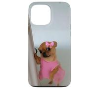 Drôle Visage Chien Meme Mignon Juger Expression Chihuahua Humour Coque pour iPhone 13 Pro Max