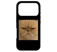Drôle Visage de Chat Persan Gros Plan Meme Flou Image floue Coque pour iPhone 17 Pro