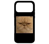 Drôle Visage de Chat Persan Gros Plan Meme Flou Image floue Coque pour iPhone 17 Pro Max