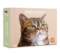 Drôles de chats - Agenda - Calendrier - Semainier 2027 - - Collectif - Hugo Image - Agenda
