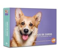 Drôles de chiens - Agenda - Calendrier - Semainier 2027