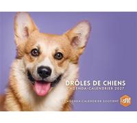 Drôles de chiens - Agenda - Calendrier - Semainier 2027 - - Collectif - Hugo Image - Agenda