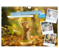 Drôles d'écureuils, Version française (Calendrier mural 2026 DIN A4 portrait), Calendrier CALVENDO mensuel