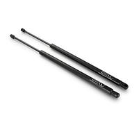 Dromedary Lot de 2 vérins à gaz G0004296 - Amortisseur de hayon - Amortisseur de coffre Cherokee XJ
