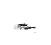 Drone Logic - Vinyle 33 Tours