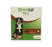 Drontal P XL Chien boite de 2 comprimés
