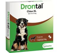 Drontal P XL Vermifuge Contre Vers Ronds/Vers Plats Grands Chiens 2 Comprimés Sécables