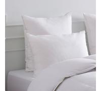 DROUAULT - Oreiller Austral 65 x 65 cm - 30% Duvet Canard - Medium - Garnissage Naturel - Sergé 100% Coton - Enveloppe Résistante et Respirante - Confort Mi-Ferme pour Un Soutien Optimal