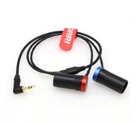 DRRI Câble audio jack stéréo 3,5 mm vers double profil bas XLR3 mâle pour Rode Wireless GO II, appareils audio, Tascam et Zoom