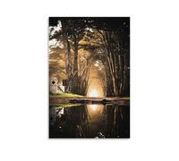 DRU I WQBRBH Poster mural esthétique de rêve ou de réalité pour salon, chambre à coucher, peinture décorative sans cadre, 60 x 90 cm