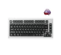 DrunkDeer A75 Master Rapid Trigger Clavier de jeu Esports, interrupteur magnétique, actionnement réglable - RT Plus - RT Match, 8 K Hz, 0,01 mm, design 75 % - ANSI, argent - Interrupteur TTC POM
