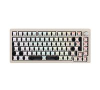 DrunkDeer Clavier mécanique à déclenchement Rapide A75, Clavier à Interrupteur magnétique, TKL RGB Filaire USB, Compact, 82 Touches avec Bouton, Gris barebones