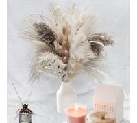 Druuzyl Décoration en Pampas Séchées 80 Pièces Pampa Séchées Naturelle Décoration, Bouquet Séché Décor d'herbe de Pampa, Plantes Décoratives en Herbe Pampa pour Boho Arrangements
