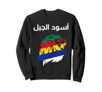 Druze, Drapeau Druze, Symbole Druze, As Suwayda, Syrie, Liban Sweatshirt