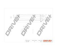 Drve+ DP1110.13.0090 Filtre à carburant