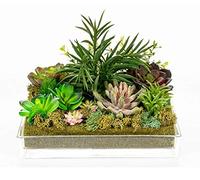DRW Centre de Fleurs avec Eau Solide avec Plantes en Verre et synthétique en Vert 24 x 24 cm