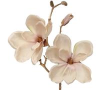 DRW Lot de 12 Branches dorées avec Fleurs artificielles en polyuréthane Rose 50 x 25 x 25 cm