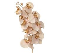 DRW Lot de 12 Branches dorées orchidées artificielles en Polyester et Coton Rose 96 x 15 x 15 cm