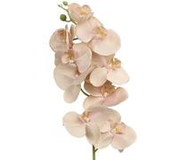 DRW Lot de 12 Branches orchidées artificielles en Polyester et Coton Naturel et Rose 96 x 15 x 15 cm