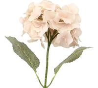 DRW Lot de 12 Fleurs artificielles avec Tige Naturelle en polyuréthane Rose 66 x 20 x 20 cm