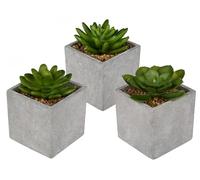 DRW Lot de 3 Plantes succulentes artificielles avec Pot 8 x 8 x 10 cm