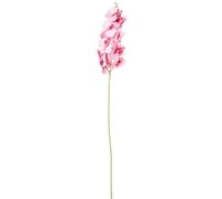 DRW Lot de 6 Branches d'orchidée en Polyester Rose 1 x 1 x 100 cm