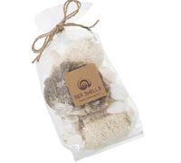 DRW Sac de Coquillages Assortis naturels avec éponges et Pierres décoratives 10 x 5 x 13/23 cm