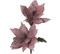 DRW Set de 6 Branches avec 2 Fleurs en Caoutchouc EVA et Papier Rose 110 cm, 110cm