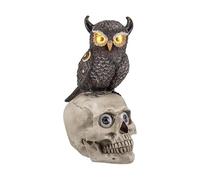 DRW Tête de Mort avec Hibou en résine Peinte à la Main, 38 cm