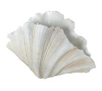 DRW Vase de Table en Forme de Coquillage en résine Blanche, 57 x 36 x 31 cm