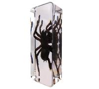 DRXRD Véritable Insecte Taxidermie, Spécimen d’Insecte en Résine, Ornement d’Insecte Vivant Ambre Transparent, pour la Collection, Presse-papiers et Décoration Intérieure Spider