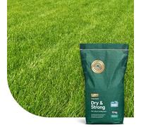 Dry & Strong : Gazon résistant à la sécheresse - 10 kg pour 500 m² - Gazon de qualité supérieure pour terrains secs - Économisez de l'eau et de l'argent - Avec Revêtement Hydroboost™
