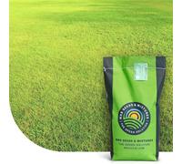 Dry & Strong: Gazon terrain sec | 15 kg - 750 m² | semences de gazon | Résiste à la chaleur et à la sécheresse | Pour les gazons de détente et d’ornement | Économique en arrosage