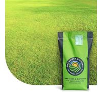 Dry & Strong: Semences de gazon pour terrains secs - 1 kg pour 50 m² - Résiste à la chaleur et à la sécheresse - Économique en arrosage