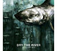 Dry the River - Shallow Bed [Import]
