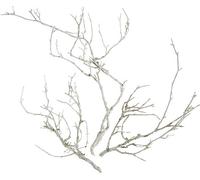 Dry Tree Blanc lavé 500g - branches décoratives, fleurs de deuil, décoration naturelle