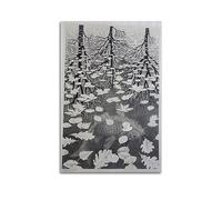 DryNda M. C. Escher Poster sur toile Motif trois mondes 30 x 45 cm