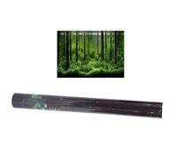Dsacxixai Plantes Vertes Aquarium Fond Autocollant Papier Algues Fond Aquarium Fond Décoration Plantes d'eau Fish Tank Fond pour Fish Tank (91 * 50cm)