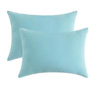 DSAoTeng Lot de 2 petits oreillers de voyage en microfibre doux et lavable pour le cou, les genoux, les lombaires, pour animal domestique, chat, chien, sieste, bureau, voiture, camping (vert)
