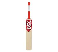 DSC Roar Terra Kashmir Batte de Cricket en Saule (Taille : 1, Type Ball_ : Boule en Cuir, Style de Jeu : Polyvalent)